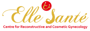 Elle Sante Logo Image